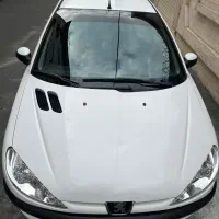 206 تیپ ۵ عروسک