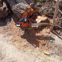 خرید و برش چوب باغی