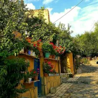 شرکت خدماتی نظافتی تشریفات مجالس آرتان خانم اقا|خدمات نظافت|اردبیل, |دیوار