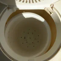 لباسشویی درحد نو