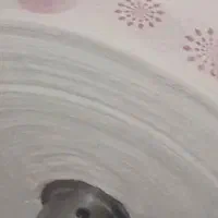 طاقهای سفره یک بار مصرف