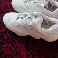 کفش سایز 40|کیف، کفش، کمربند|قدس, شهر‌قدس|دیوار