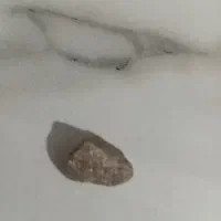 یک قطعه سنگ شهاب و هشت تکه سنگ جواهری