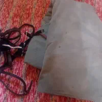 دهنه و جل اسب