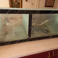 شیشه آکواریوم