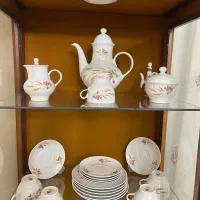 سرویس چینی پذیرایی اصل آلمان