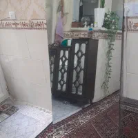 شیشه