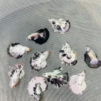 فروش تک و عمده فایتر|ماهی|رشت, گلسار|دیوار