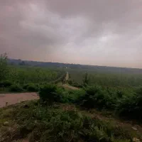 ویلایی-دنج-در-قلب-گیلان