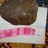 بیمار دلها