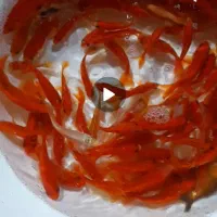 ماهی قرمز عید و کوی