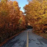 جابجایی مسافرازمریوان وسنندج به تهران