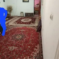 دوطبقه نیم دربست خواجه ربیع  بهمن ۱۶ خیابان سامعی۹|اجارهٔ خانه و ویلا|مشهد, بهمن|دیوار
