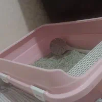 ظرف خاک گربه