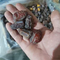 فروش خرما|عمدهفروشی|بوشکان, |دیوار