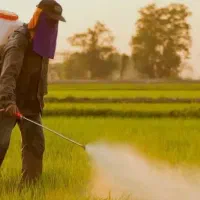 سموم و تقویتی های کشاورزی موجود است