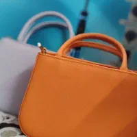 کیف و شال زنانه نو فقط600 هزار تومان|کیف، کفش، کمربند|شیراز, طلاب|دیوار