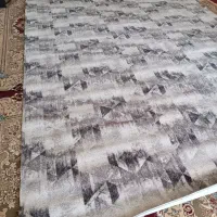 پالاز موکت|موکت|قوچان, |دیوار