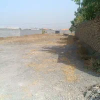 زمین1000متری جاده آسفالته کاهو مجتمع چمن آرا|فروش زمین و ملک کلنگی|گلمکان, |دیوار