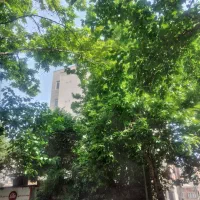 مغازه۳۱مترسرقفلیومالکیتطبقه۲