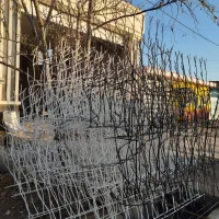 فروش شاخ گوزنی قیمت مناسب