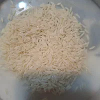 فروش 700 کیلو برنج سورت شده یکجا