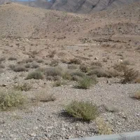 شهمیرزاد جنب پمپ بنزین فروش فوری