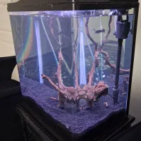 اکواریوم شیشه خم