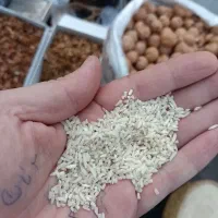 برنج سالم و لاشه و نیمدانه هاشمی.علی کاظمی