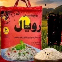 برنج ارسیکس r6 رویال ۱۰ کیلویی