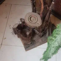 درخت خشک شده طبیعی دکوری قد ۱۷۵|گل و گیاه طبیعی|تهران, آهنگران (سراسیاب دولاب)|دیوار