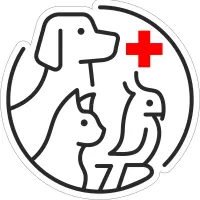 استخدام پذیرش