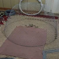 دماغه و گرگور سازی