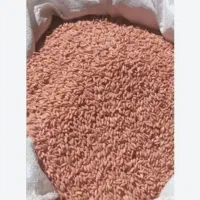 گندم آذر دو. درجه یک بذری