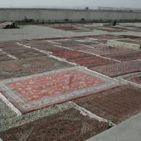 قالیشویی ومبلشویی تخصصی شرق وغرب تهران|خدمات نظافت|تهران, سبلان (لشگر)|دیوار