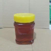 عسل طبیعی بشرط هرگونه تست|خوردنی و آشامیدنی|تهران, سلسبیل شمالی|دیوار