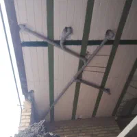لوله کشی آب،فاضلاب،پکیج