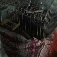 حراج وسایل|حراج|اراک, |دیوار