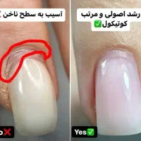 کاشت|گردهمایی و همایش|شوشتر, |دیوار
