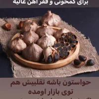 سیر سیاه بخر شامپو گیاهی جایزه ببر|آرایشی، بهداشتی، درمانی|تهران, زمزم|دیوار