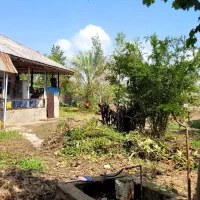 خانه قدیمی ۱۲۰۰ متری قابل تفکیک|فروش زمین و ملک کلنگی|خشکبیجار, |دیوار