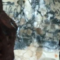 سنگ قیمتی|کلکسیون و سرگرمی|کرمانشاه, |دیوار