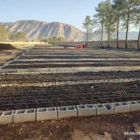 کرم کشاورزی|خدمات باغبانی و درختکاری|شیراز, گود خزینه|دیوار