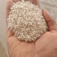 برنج عنبر بو