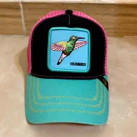 ۲ عدد کلاه کپ رنگی و جذاب|لباس|شیراز, عفیف‌آباد|دیوار