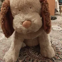 عروسک . سگ و کلاغ