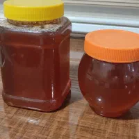 عسل|خوردنی و آشامیدنی|دهگلان, |دیوار