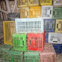 سبد گوجه رنگی