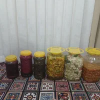 انواع ترشی.