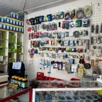 واگذاری-الکتریکی